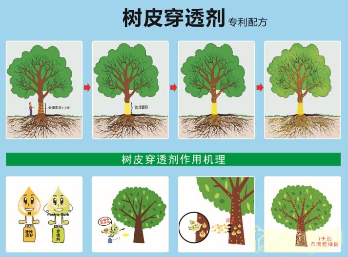 諾普信參加第18屆中國國際花卉園藝展覽會(huì)完美收官