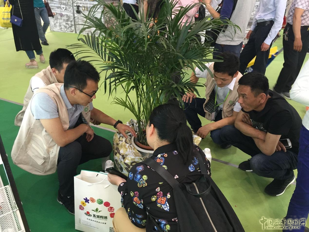 諾普信參加第18屆中國國際花卉園藝展覽會(huì)完美收官