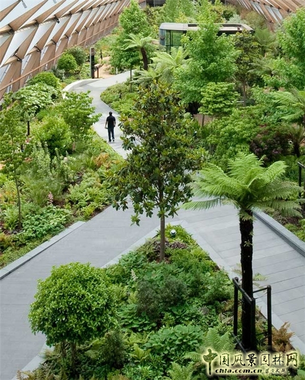 倫敦Crossrail車站屋頂花園景觀設(shè)計(jì)