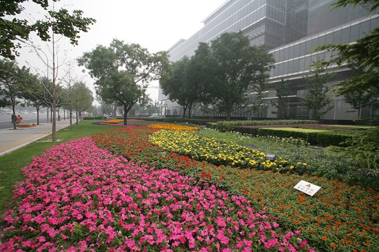 長安街建國路景觀大道規劃建設