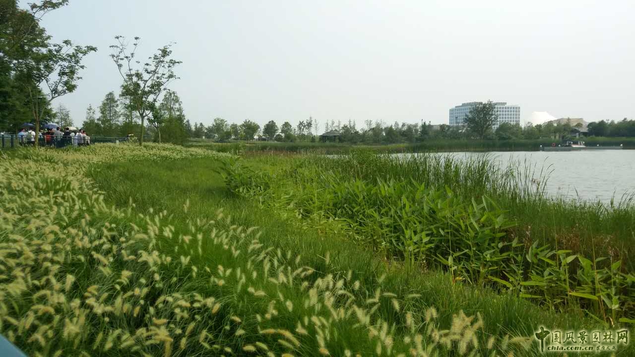 系列報道4：南林風(fēng)景園林學(xué)院走進(jìn)上海園林集團(tuán)