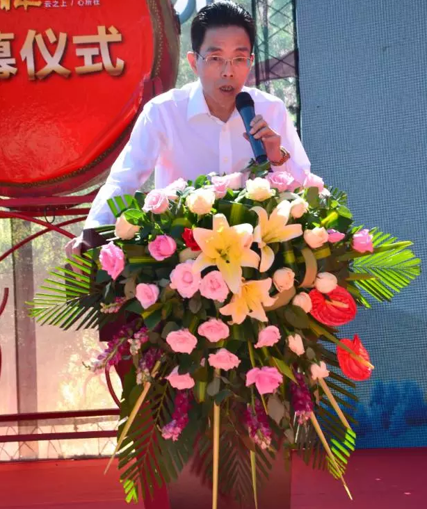 云投生態(tài)投資建設(shè)的重慶"云美?森林時光"旅游地產(chǎn)項目啟動預(yù)售