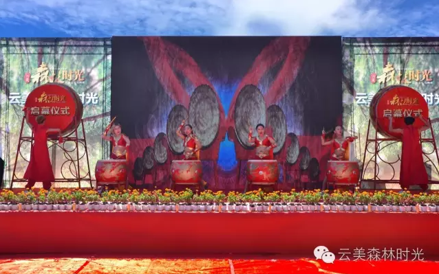 云投生態(tài)投資建設(shè)的重慶"云美?森林時光"旅游地產(chǎn)項目啟動預(yù)售