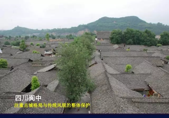 陽建強：基于城市發展整體框架下的歷史城市保護與更新
