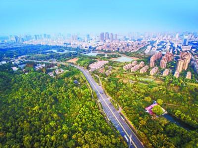 安徽：創建森林城市 構建綠意城鎮