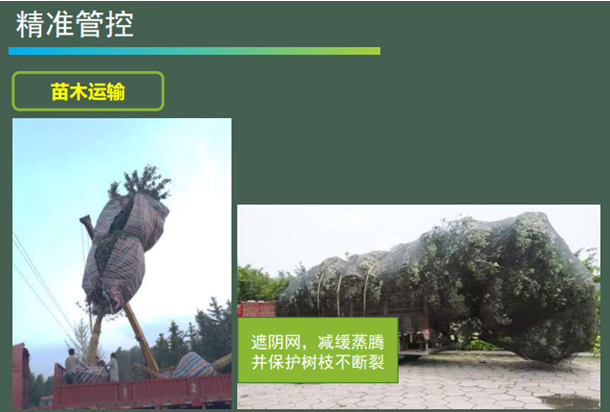 景觀工程施工管理經(jīng)驗分享