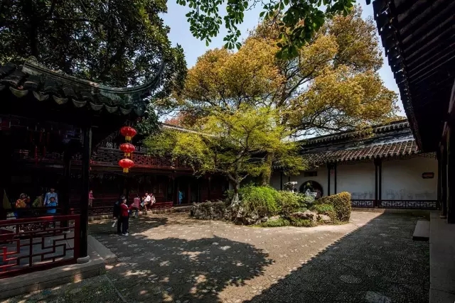 同里古鎮(zhèn)指望這個園子活著——退思園