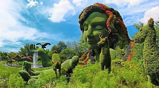 如何讓植物成為兒童活動場地的主角？