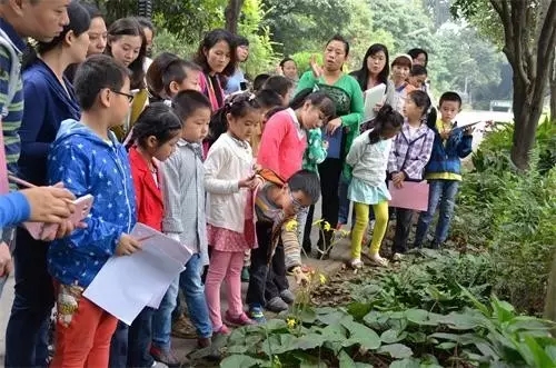 如何讓植物成為兒童活動(dòng)場地的主角？