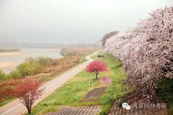 景觀設(shè)計中地形高差處理不會？看過來！