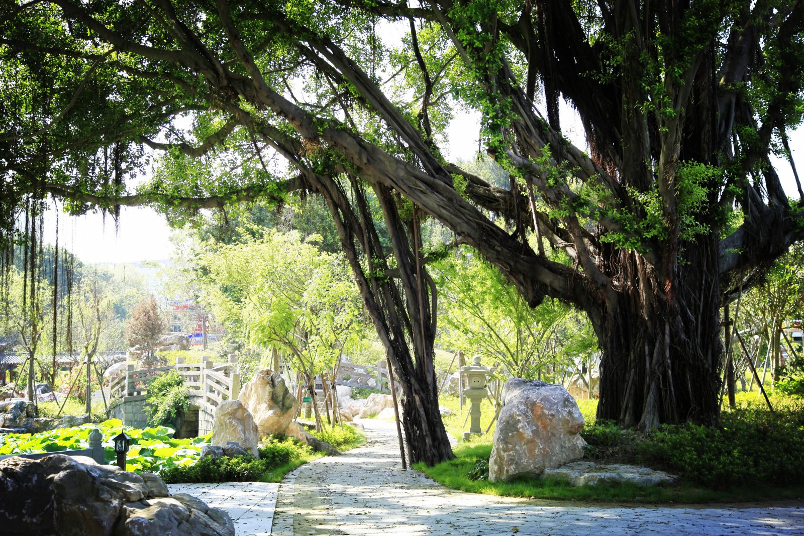 2016園冶杯專業(yè)獎參賽項(xiàng)目：福州南公園景觀工程設(shè)計(jì)