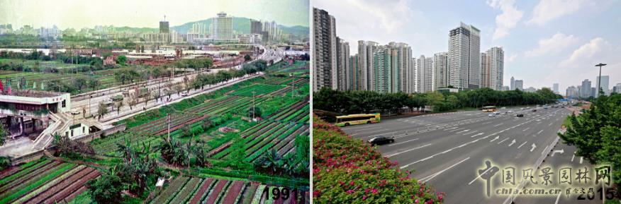 【園冶講壇】王才強：城市中的藍與綠