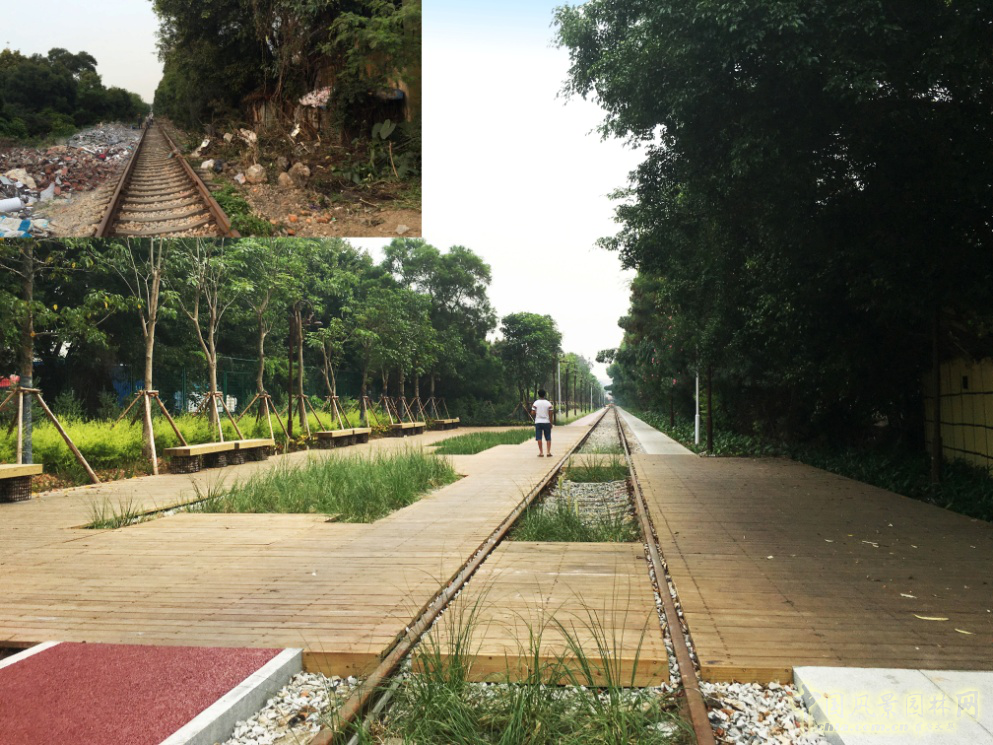 2016園冶杯: 廈門(mén)自貿(mào)區(qū)鐵路公園綠化工程
