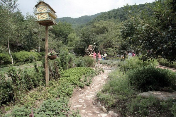 締造通話——韓國(guó)香草王國(guó)農(nóng)園