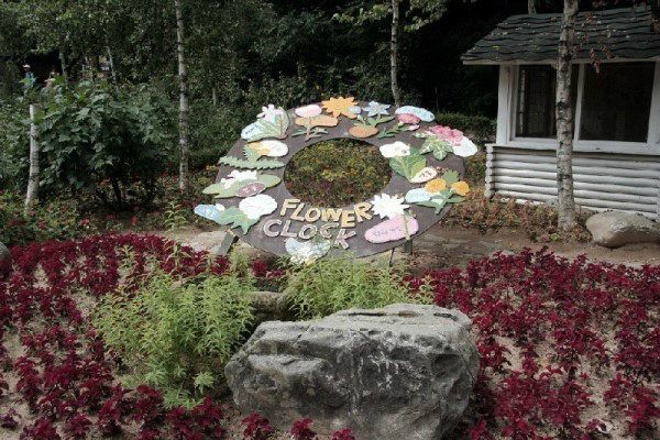 締造通話——韓國(guó)香草王國(guó)農(nóng)園
