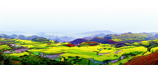 貴州：旅游+農(nóng)業(yè)　農(nóng)田成為風景