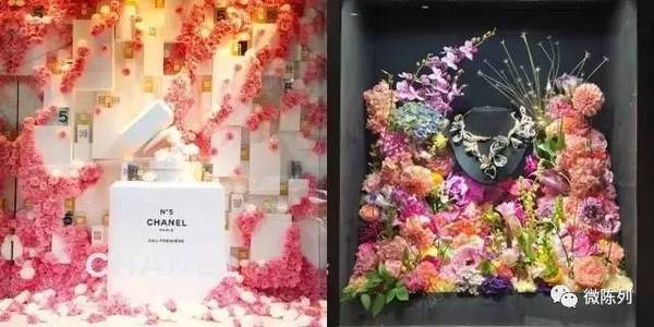 櫥窗布置：植物世界可以多極致？