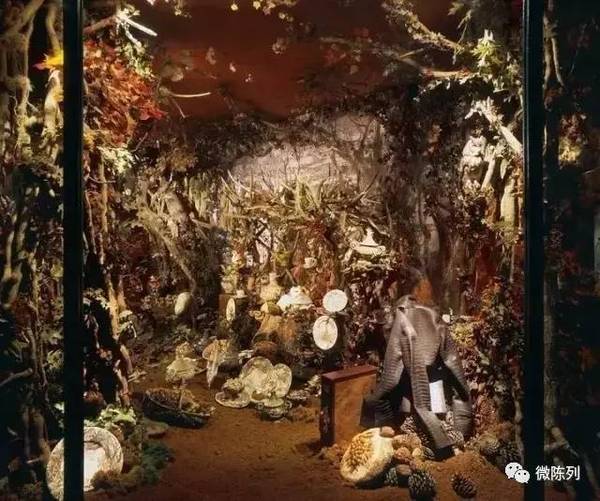 櫥窗布置：植物世界可以多極致？