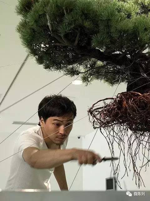 櫥窗布置：植物世界可以多極致？