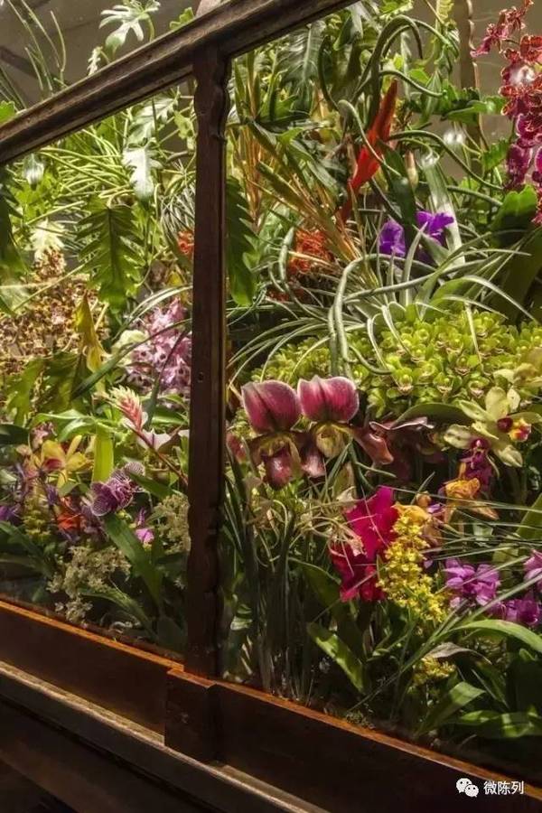 櫥窗布置：植物世界可以多極致？
