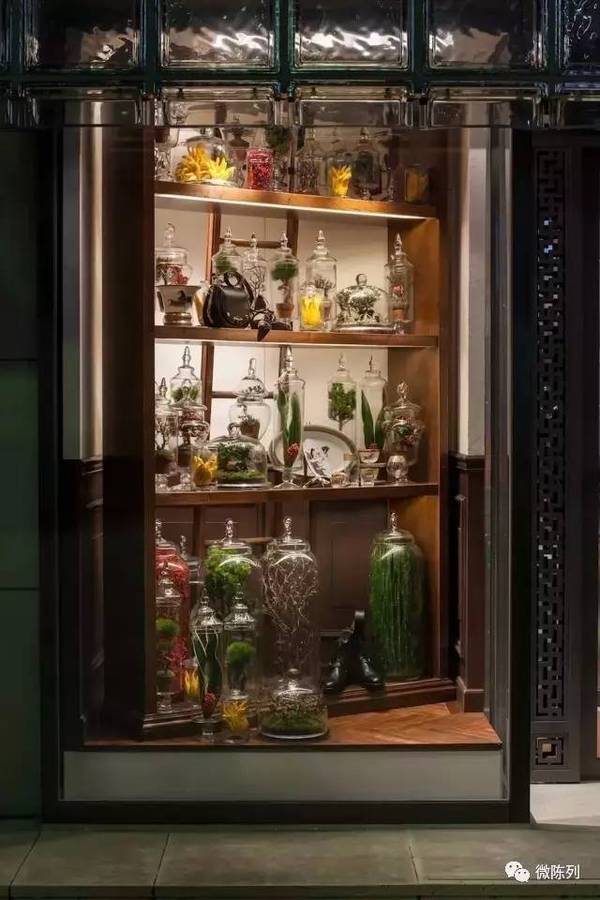 櫥窗布置：植物世界可以多極致？