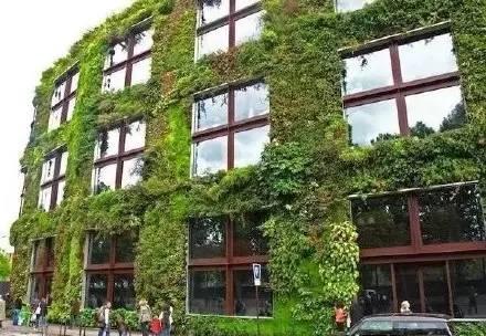 垂直花園設(shè)計為生活帶來滿滿綠意
