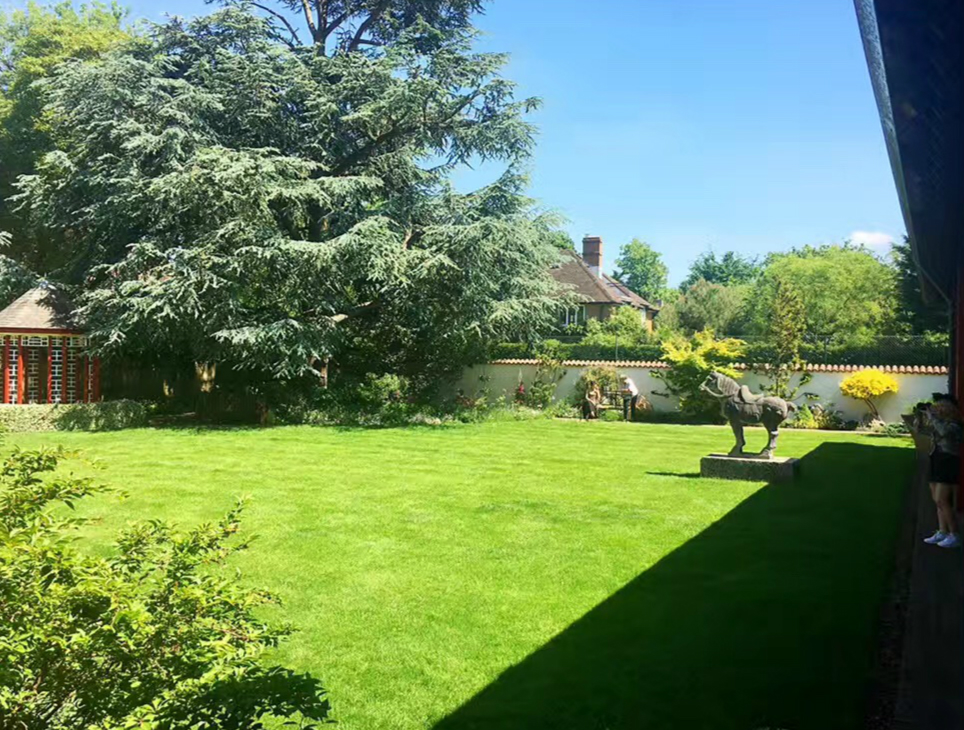 2017英國景觀專業(yè)考察交流Day4：與康橋的約會