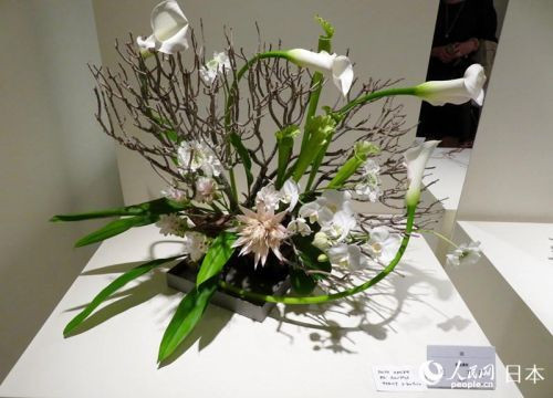 2017mami插花設(shè)計(jì)展亮相東京 