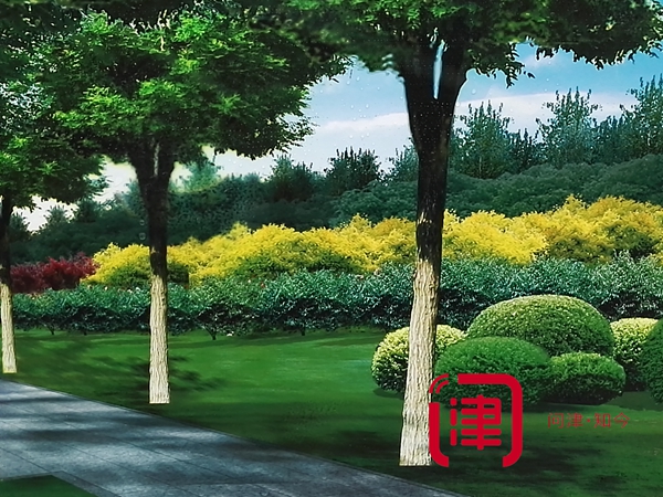 迎全運天津要建這么多公園！各種綠化走起