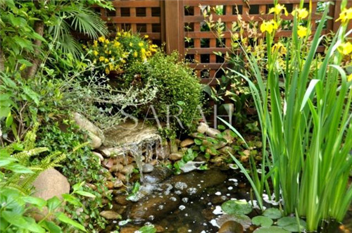 花園設(shè)計(jì)“園集獎(jiǎng)”優(yōu)秀作品：薩拉的花園