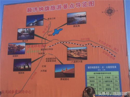 內(nèi)蒙古自治區(qū)額濟納旗胡楊之美