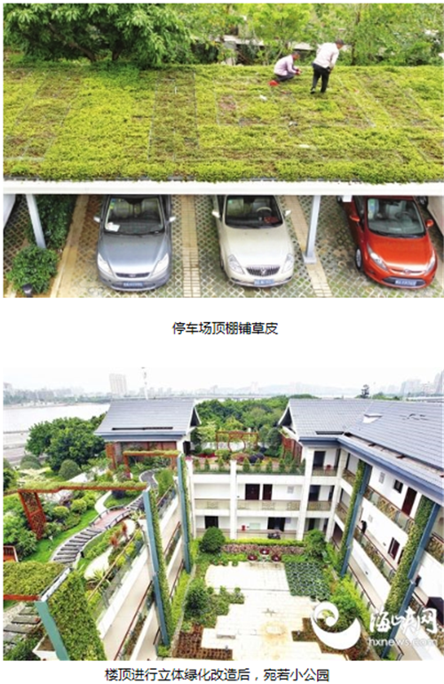 福州閩江公園游客中心建屋頂綠化示范點(diǎn)