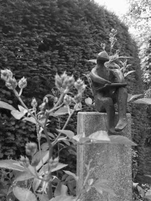 法國(guó)的盧克先生打造了一個(gè)不打藥的花園