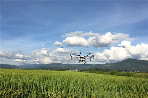植保無人機效率這么高 為何農民難接受？