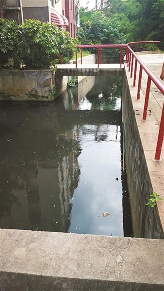 奇怪，南京小區(qū)景觀河一夜間又黑又臭