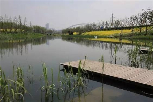 我們?cè)谠O(shè)計(jì)濱水景觀時(shí)在設(shè)計(jì)什么？