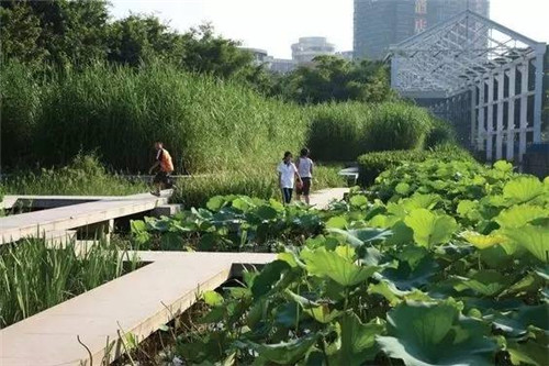 我們在設計濱水景觀時在設計什么？