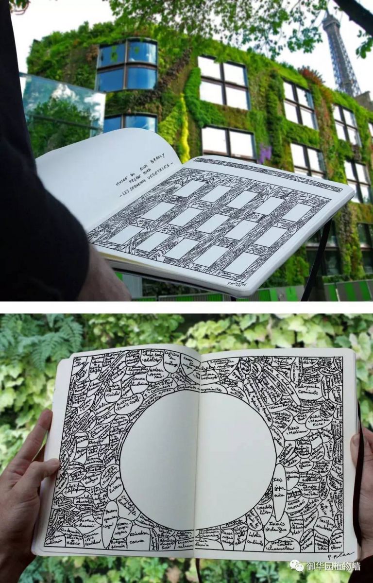 為什么植物墻效果圖不好出？
