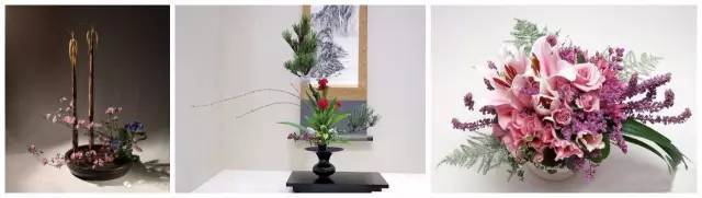 中式、日式、西式插花，最大的區別是什么？