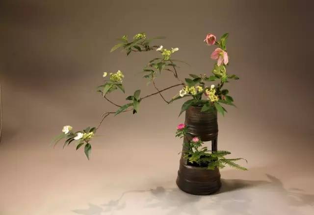 中式、日式、西式插花，最大的區別是什么？