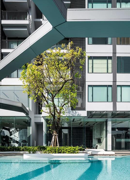 TROP作品：派恩（Pyne）住宅景觀設計