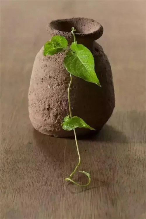 自制禪意插花，與心靈碰撞的心靈藝術