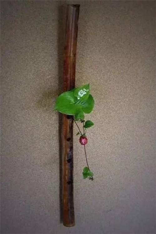 自制禪意插花，與心靈碰撞的心靈藝術