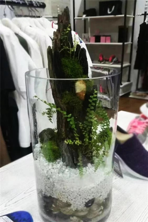 自制禪意插花，與心靈碰撞的心靈藝術