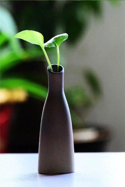 自制禪意插花，與心靈碰撞的心靈藝術