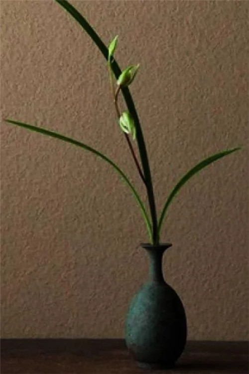 自制禪意插花，與心靈碰撞的心靈藝術