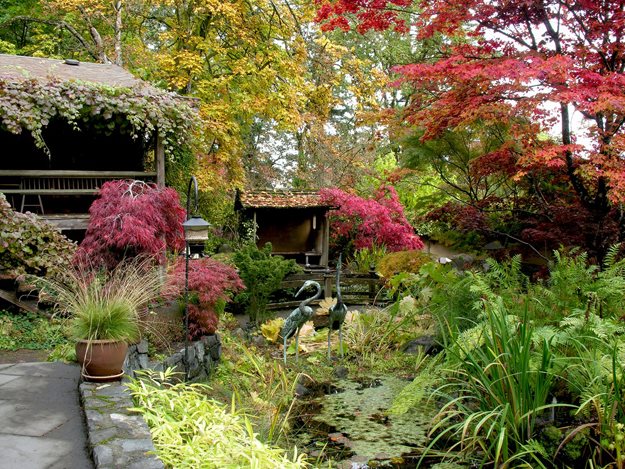 藝術家創造花園的方法