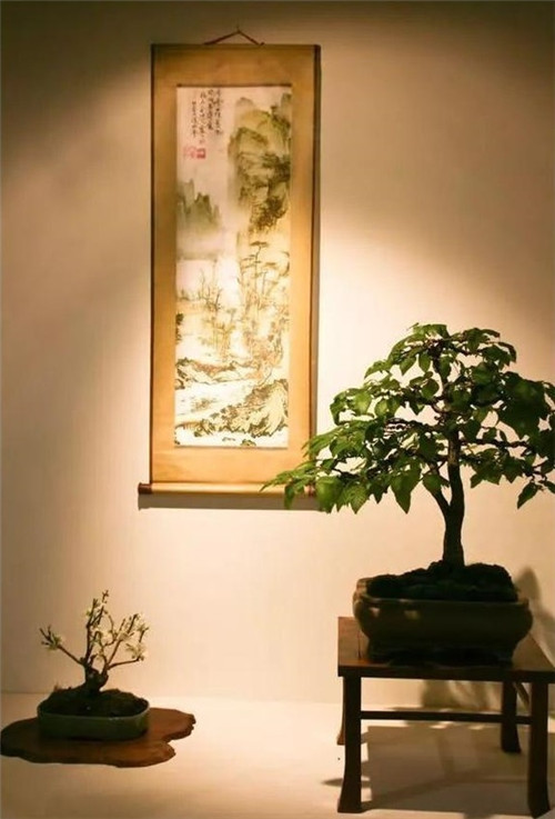 美國費城的盆景與插花藝術展