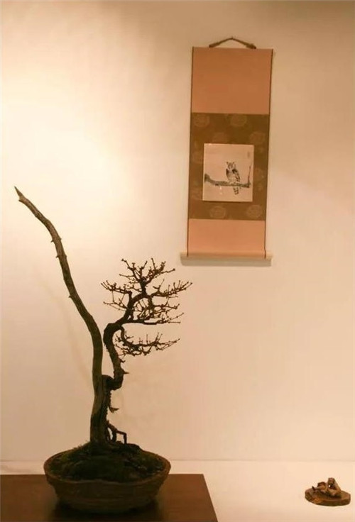 美國費城的盆景與插花藝術展