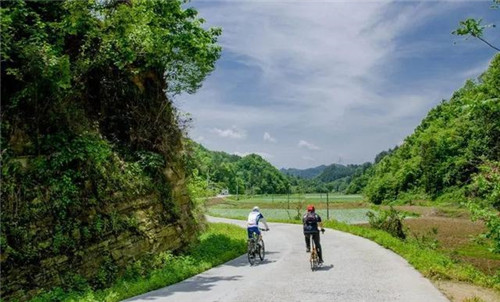 走進(jìn)千年古樹(shù)群風(fēng)景區(qū)